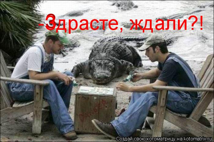 З -Здрасте, ждали?!... Котоматрица: З -Здрасте, ждали?!