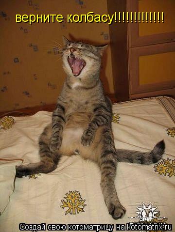 верните колбасу!!!!!!!!!!!!!... Котоматрица: верните колбасу!!!!!!!!!!!!!