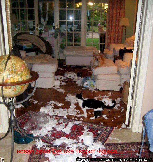 новая zewa DeLuxe творит чудеса......... Котоматрица: новая zewa DeLuxe творит чудеса......