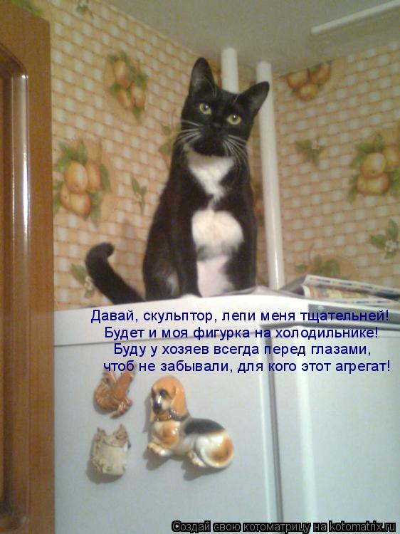 Давай, скульптор, лепи меня тщательней! Будет и моя фигурка на холодильнике! Буду у хозяев всегда пер... Котоматрица: Давай, скульптор, лепи меня тщательней! Будет и моя фигурка на холодильнике! Буду у хозяев всегда перед глазами, чтоб не забывали, для кого э