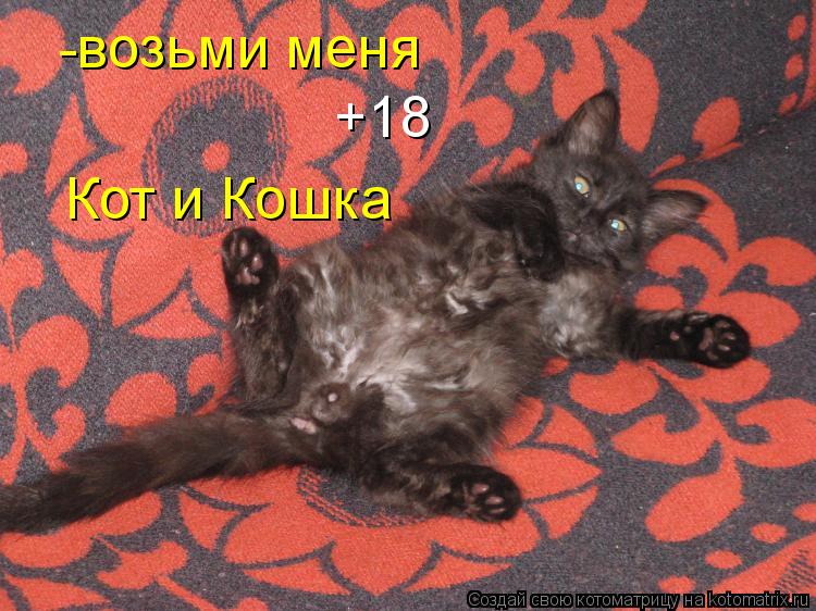 -возьми меня +18 Кот и Кошка... Котоматрица: -возьми меня +18 Кот и Кошка