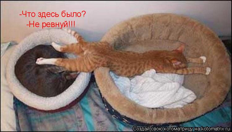 -Что здесь было? -Не ревнуй!!!... Котоматрица: -Что здесь было? -Не ревнуй!!!