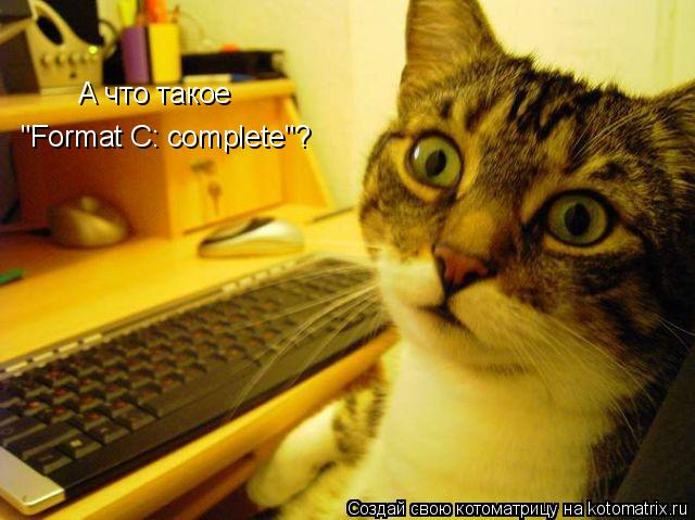 А что такое "Format C: complete"?... Котоматрица: А что такое "Format C: complete"?