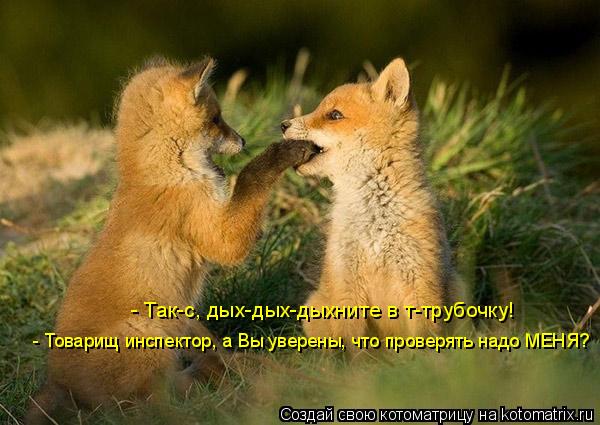 - Так-с, дых-дых-дыхните в т-трубочку! - Товарищ инспектор, а Вы уверены, что проверять надо МЕНЯ?... Котоматрица: - Так-с, дых-дых-дыхните в т-трубочку! - Товарищ инспектор, а Вы уверены, что проверять надо МЕНЯ?