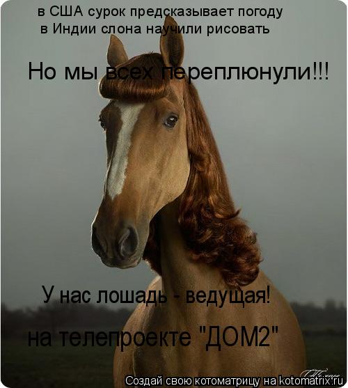 в США сурок предсказывает погоду Но мы всех переплюнули!!! У нас лошадь - ведущая! на телепроекте "Д... Котоматрица: в США сурок предсказывает погоду Но мы всех переплюнули!!! У нас лошадь - ведущая! на телепроекте "ДОМ2" в Индии слона научили рисовать