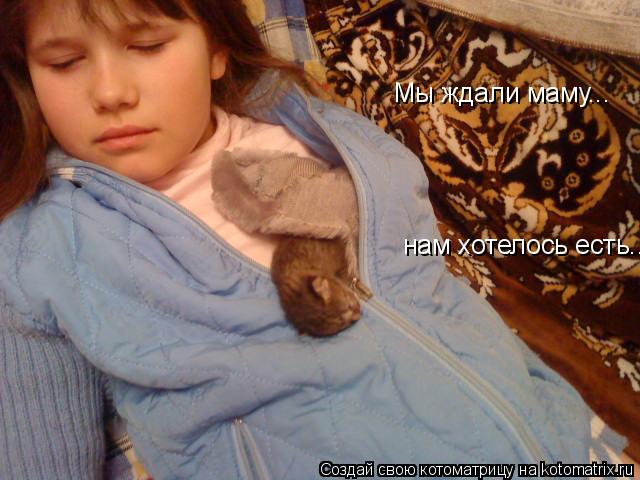 Мы ждали маму... нам хотелось есть...... Котоматрица: Мы ждали маму... нам хотелось есть...