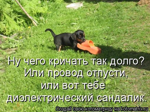 Ну чего кричать так долго? Или провод отпусти, или вот тебе диэлектрический сандалик.... Котоматрица: Ну чего кричать так долго? Или провод отпусти, или вот тебе диэлектрический сандалик.