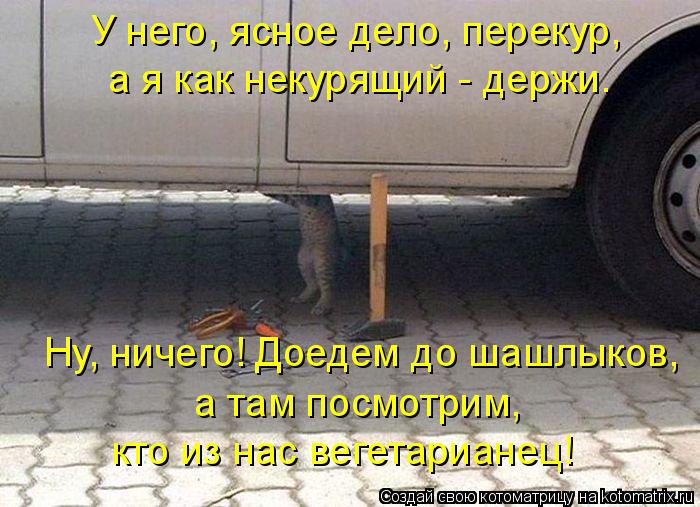 У него, ясное дело, перекур, а я как некурящий - держи. Ну, ничего! Доедем до шашлыков, а там посмо... Котоматрица: У него, ясное дело, перекур, а я как некурящий - держи. Ну, ничего! Доедем до шашлыков, а там посмотрим, кто из нас вегетарианец!