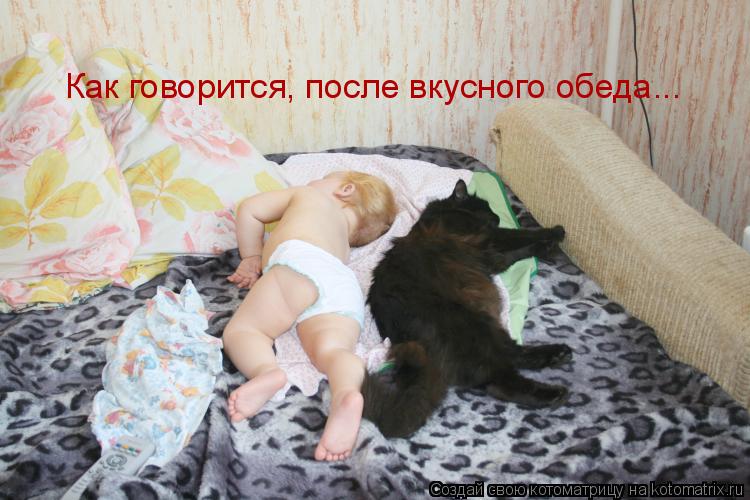 Как говорится, после вкусного обеда...... Котоматрица: Как говорится, после вкусного обеда...