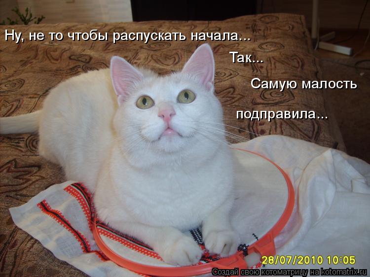 Ну, не то чтобы распускать начала... Так... подправила... Самую малость... Котоматрица: Ну, не то чтобы распускать начала... Так... подправила... Самую малость