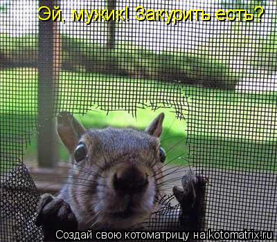 Эй, мужик! Закурить есть?... Котоматрица: Эй, мужик! Закурить есть?