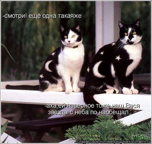 -смотри! ещё одна такаяже -аха,ей наверное тоже наш Вася звезды с неба по наобещал... Котоматрица: -смотри! ещё одна такаяже -аха,ей наверное тоже наш Вася звезды с неба по наобещал