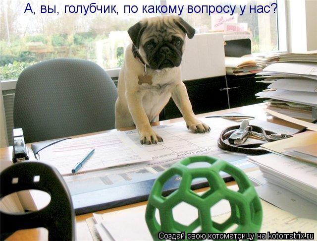 А, вы, голубчик, по какому вопросу у нас?... Котоматрица: А, вы, голубчик, по какому вопросу у нас?