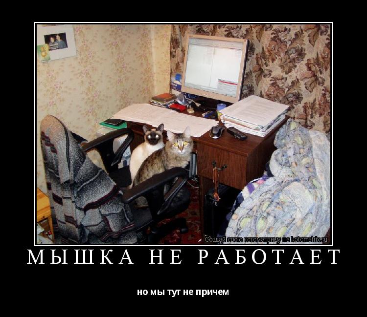 мышка не работает но мы тут не причем... Котоматрица: мышка не работает но мы тут не причем