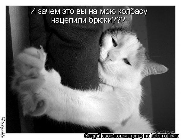И зачем это вы на мою колбасу нацепили брюки???... Котоматрица: И зачем это вы на мою колбасу нацепили брюки???