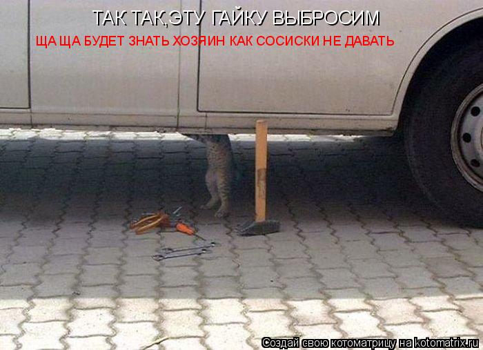 ТАК ТАК,ЭТУ ГАЙКУ ВЫБРОСИМ ЩА ЩА БУДЕТ ЗНАТЬ ХОЗЯИН КАК СОСИСКИ НЕ ДАВАТЬ... Котоматрица: ТАК ТАК,ЭТУ ГАЙКУ ВЫБРОСИМ ЩА ЩА БУДЕТ ЗНАТЬ ХОЗЯИН КАК СОСИСКИ НЕ ДАВАТЬ