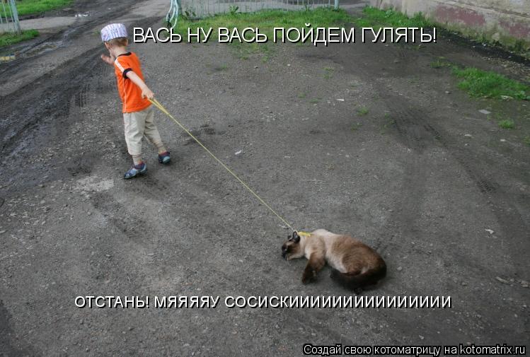 ВАСЬ НУ ВАСЬ ПОЙДЕМ ГУЛЯТЬ! ОТСТАНЬ! МЯЯЯЯУ СОСИСКИИИИИИИИИИИИИИИ... Котоматрица: ВАСЬ НУ ВАСЬ ПОЙДЕМ ГУЛЯТЬ! ОТСТАНЬ! МЯЯЯЯУ СОСИСКИИИИИИИИИИИИИИИ