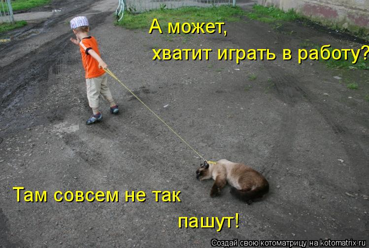 А может, хватит играть в работу? Там совсем не так пашут!... Котоматрица: А может, хватит играть в работу? Там совсем не так пашут!
