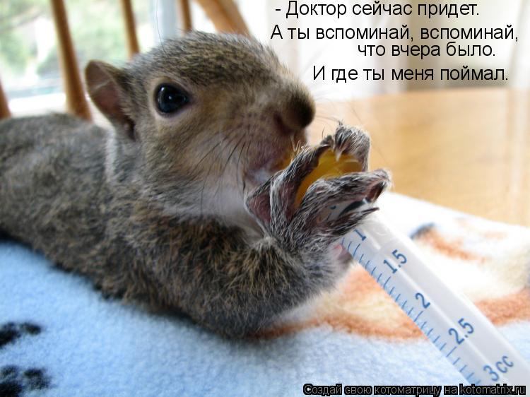 - Доктор сейчас придет. А ты вспоминай, вспоминай, что вчера было. И где ты меня поймал.... Котоматрица: - Доктор сейчас придет. А ты вспоминай, вспоминай, что вчера было. И где ты меня поймал.