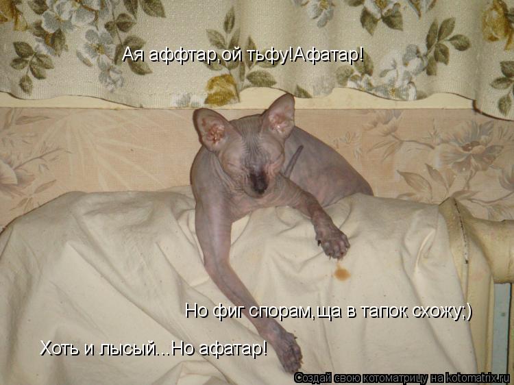 Ая аффтар,ой тьфу!Афатар! Хоть и лысый...Но афатар! Но фиг спорам,ща в тапок схожу;)... Котоматрица: Ая аффтар,ой тьфу!Афатар! Хоть и лысый...Но афатар! Но фиг спорам,ща в тапок схожу;)