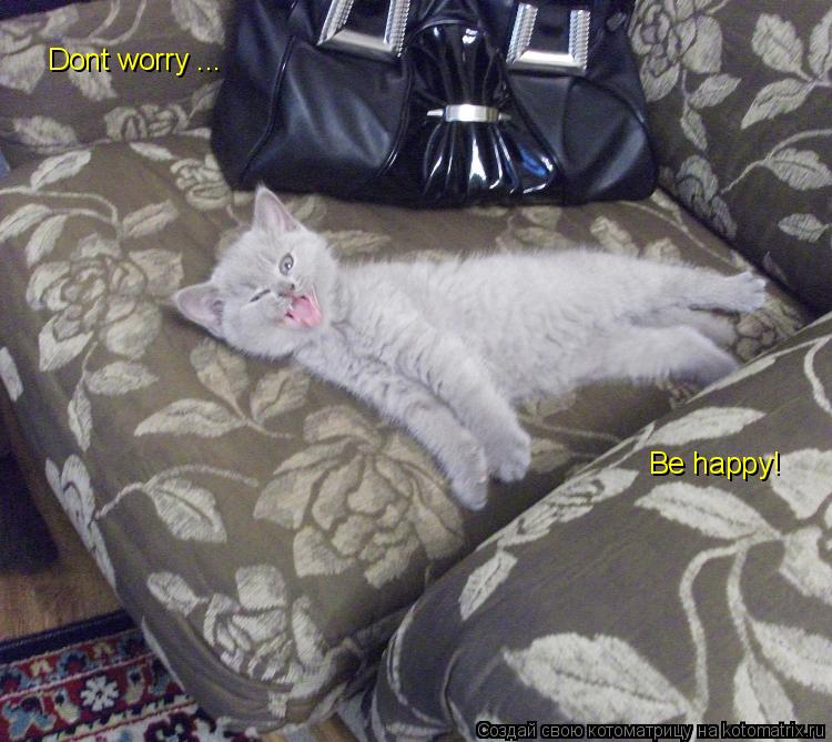 Dont worry ... Be happy!... Котоматрица: Dont worry ... Be happy!