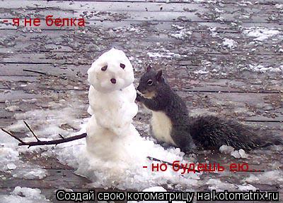 я не белка но будешь ею... - -... Котоматрица: я не белка но будешь ею... - -
