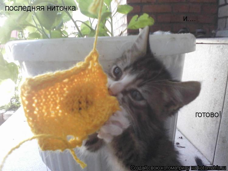 последняя ниточка и.... готово!... Котоматрица: последняя ниточка и.... готово!