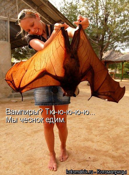 Вампиры? Тю-ю-ю-ю-ю... Мы чеснок едим.... Котоматрица: Вампиры? Тю-ю-ю-ю-ю... Мы чеснок едим.