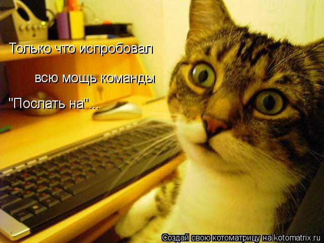 Только что испробовал всю мощь команды "Послать на"...... Котоматрица: Только что испробовал всю мощь команды "Послать на"...