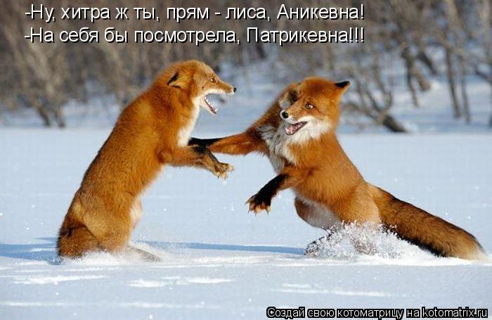 -Ну, хитра ж ты, прям - лиса, Аникевна! -На себя бы посмотрела, Патрикевна!!!... Котоматрица: -Ну, хитра ж ты, прям - лиса, Аникевна! -На себя бы посмотрела, Патрикевна!!!