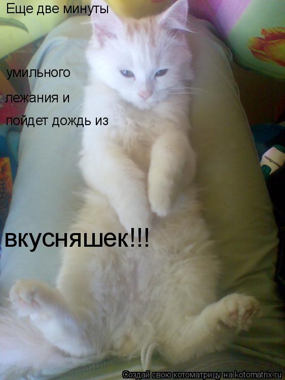 умильного лежания и пойдет дождь из Еще две минуты вкусняшек!!!... Котоматрица: умильного лежания и пойдет дождь из Еще две минуты вкусняшек!!!