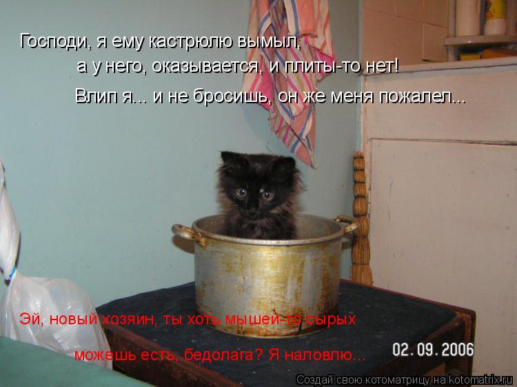 Господи, я ему кастрюлю вымыл, Эй, новый хозяин, ты хоть мышей-то сырых можешь есть, бедолага? Я нал... Котоматрица: Господи, я ему кастрюлю вымыл, Эй, новый хозяин, ты хоть мышей-то сырых можешь есть, бедолага? Я наловлю... Влип я... и не бросишь, он же меня пож