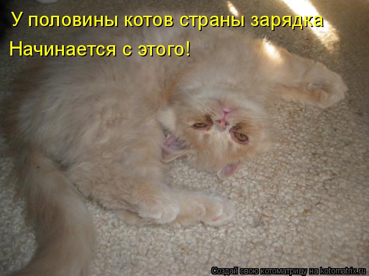 У половины котов страны зарядка Начинается с этого!... Котоматрица: У половины котов страны зарядка Начинается с этого!