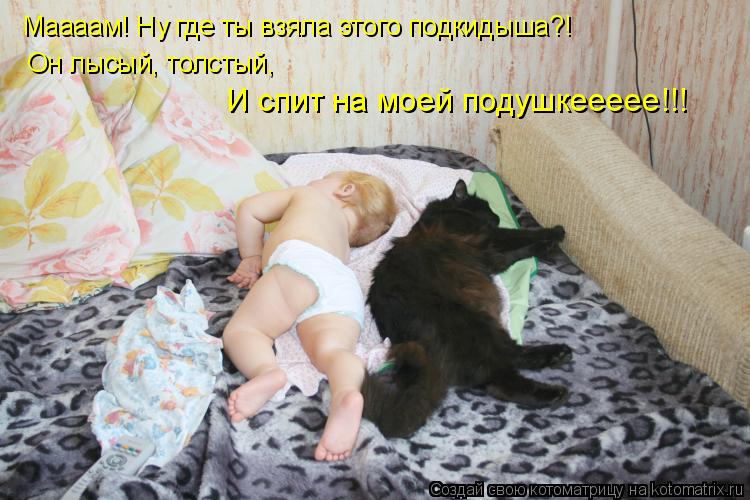 Маааам! Ну где ты взяла этого подкидыша?! Он лысый, толстый, И спит на моей подушкеееее!!!... Котоматрица: Маааам! Ну где ты взяла этого подкидыша?! Он лысый, толстый, И спит на моей подушкеееее!!!