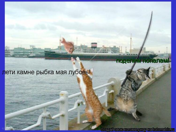 лети камне рыбка мая лубовь! поделим попалам!... Котоматрица: лети камне рыбка мая лубовь! поделим попалам!