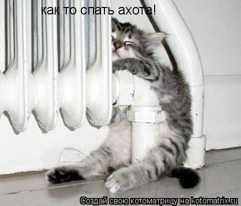 как то спать ахота!... Котоматрица: как то спать ахота!