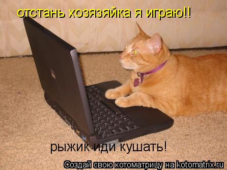 рыжик иди кушать! отстань хозязяйка я играю!!... Котоматрица: рыжик иди кушать! отстань хозязяйка я играю!!