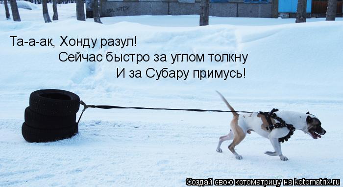 Та-а-ак, Хонду разул! Сейчас быстро за углом толкну И за Субару примусь!... Котоматрица: Та-а-ак, Хонду разул! Сейчас быстро за углом толкну И за Субару примусь!
