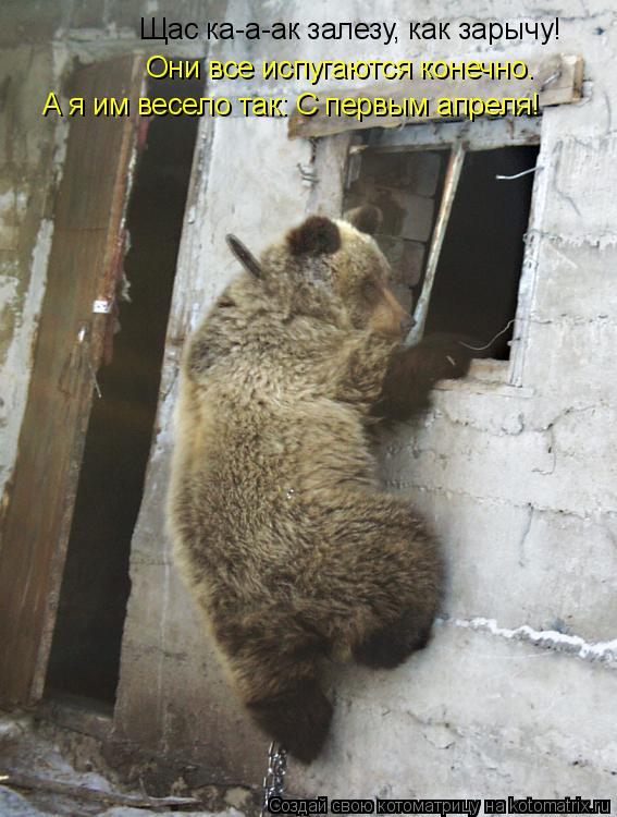 Щас ка-а-ак залезу, как зарычу! Они все испугаются конечно. А я им весело так: С первым апреля!... Котоматрица: Щас ка-а-ак залезу, как зарычу! Они все испугаются конечно. А я им весело так: С первым апреля!