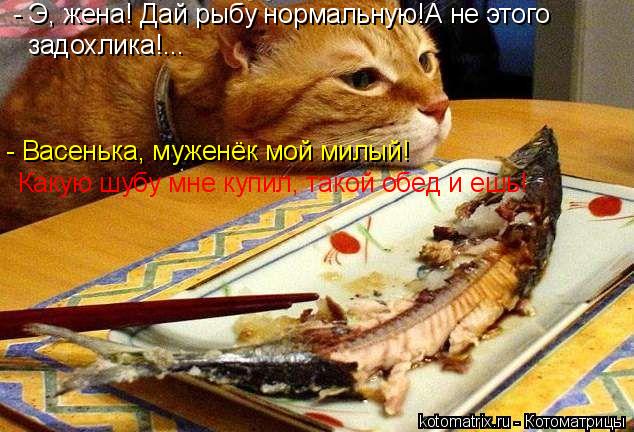 - Э, жена! Дай рыбу нормальную!А не этого задохлика!... - Васенька, муженёк мой милый! Какую шубу м... Котоматрица: - Э, жена! Дай рыбу нормальную!А не этого задохлика!... - Васенька, муженёк мой милый! Какую шубу мне купил, такой обед и ешь!