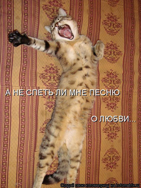 А НЕ СПЕТЬ ЛИ МНЕ ПЕСНЮ О ЛЮБВИ...... Котоматрица: А НЕ СПЕТЬ ЛИ МНЕ ПЕСНЮ О ЛЮБВИ...