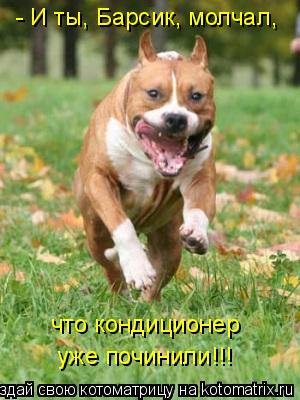 - И ты, Барсик, молчал, что кондиционер уже починили!!!... Котоматрица: - И ты, Барсик, молчал, что кондиционер уже починили!!!
