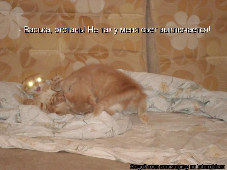 Котоматрица: - Васька, отстань! Не так у меня свет выключается!