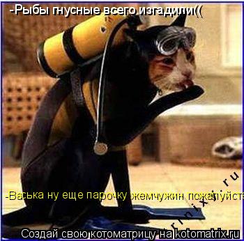 -Рыбы гнусные всего изгадили(( -Васька ну еще парочку жемчужин пожалуйста.... Котоматрица: -Рыбы гнусные всего изгадили(( -Васька ну еще парочку жемчужин пожалуйста.