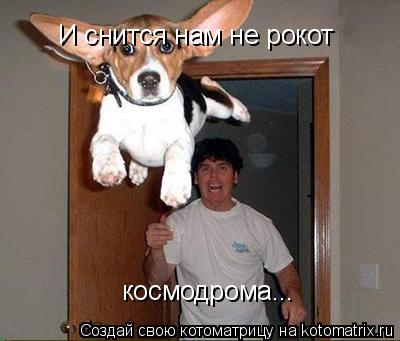 И снится нам не рокот космодрома...... Котоматрица: И снится нам не рокот космодрома...