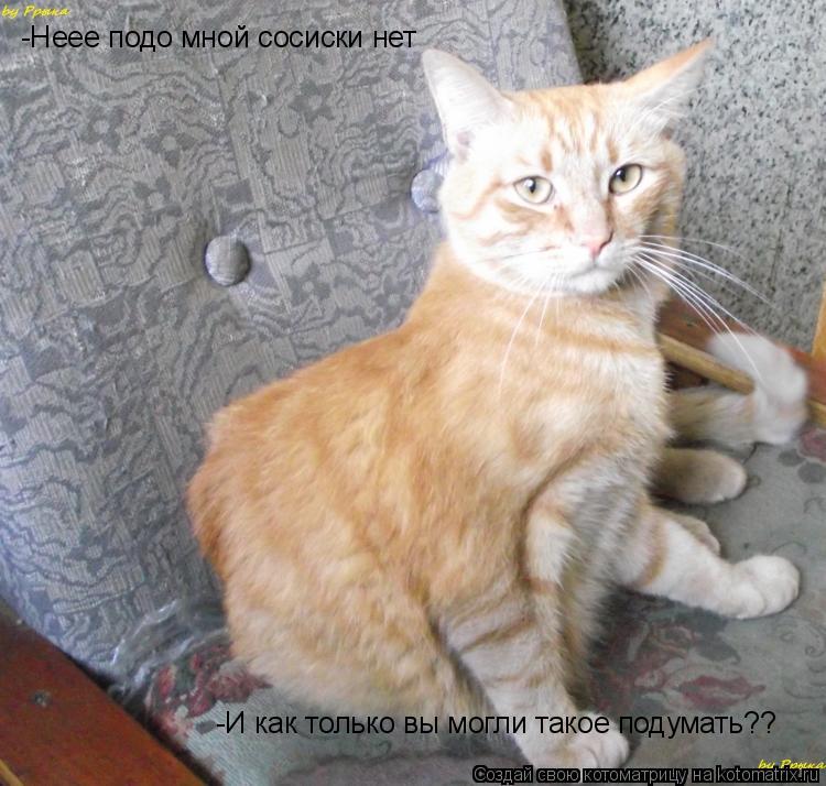 -Неее подо мной сосиски нет -И как только вы могли такое подумать??... Котоматрица: -Неее подо мной сосиски нет -И как только вы могли такое подумать??