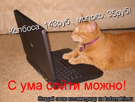 Офигеть Колбоса: 143руб., молоко: 35руб! С ума сойти можно!... Котоматрица: Офигеть Колбоса: 143руб., молоко: 35руб! С ума сойти можно!