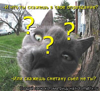 -И что ты скажешь в свое оправдание? -Или скажешь сметану сьел не ты? ? ? ?... Котоматрица: -И что ты скажешь в свое оправдание? -Или скажешь сметану сьел не ты? ? ? ?