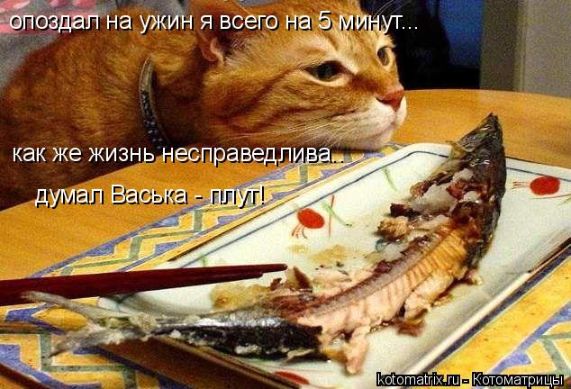 опоздал на ужин я всего на 5 минут... как же жизнь несправедлива.. думал Васька - плут!... Котоматрица: опоздал на ужин я всего на 5 минут... как же жизнь несправедлива.. думал Васька - плут!