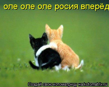 Котоматрица: оле оле оле росия вперёд